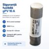 siguranta gpv 16a 10x38